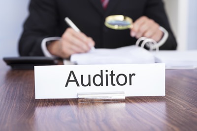 Auditor Looking At Document